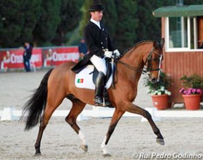 Filipe Canelas Pinto and Der Clou at the 2013 Sunshine Tour CDI in Spain :: Photo © Rui Pedro Godinho