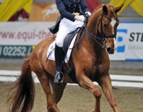 Michèle Thill and Windhook at the 2013 CDI Stadl Paura :: Photo © Rainer Dill