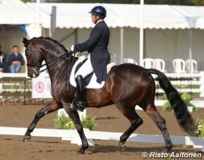 Peter Storr and Fabioso at the 2013 British Dressage Championships :: Photo © Risto Aaltonen