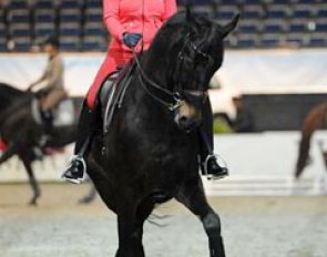 Anabel Balkenhol training Diamonds Forever