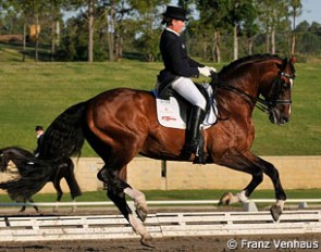 Sheridyn Ashwood and Prestige at the 2013 CDI Sydney :: Photo © Franz Venhaus