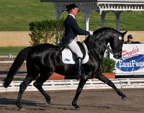 Heath Ryan and Regardez Moi at the CDI Sydney :: Photo © Franz Venhaus