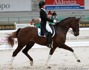Marta Galan Dalmau and Arundensis at the 2013 CDI Toledo :: Photo © Rui Pedro Godinho