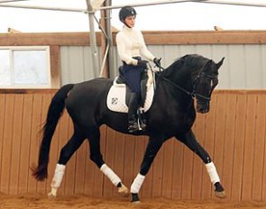 Amy Lewis and Sir Steinerman and the U.S. Young Horse Clinic :: Photo © Mary Phelps