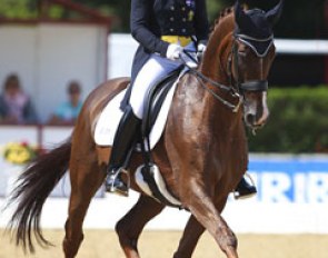 Hayley Beresford and Jaybee Alabaster at the 2013 CDI Verden :: Photo © Astrid Appels