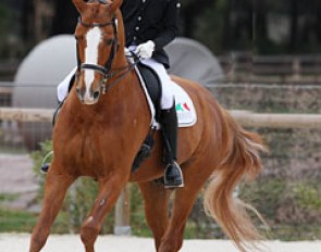 Lucas Alecco Roy and Wisdom at the 2013 CDI Vidauban :: Photo © Astrid Appels