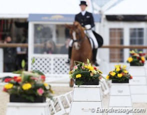 High Performance Dressage :: Photo © Astrid Appels