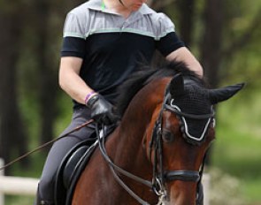 Yes it's time to get back into the show ring! Anders Dahl on Sir Donato (by Sir Donnerhall x Barsoi xx)
