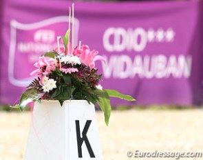 The FEI Natons' Cup CDIO leg in Vidauban :: Photo © Astrid Appels