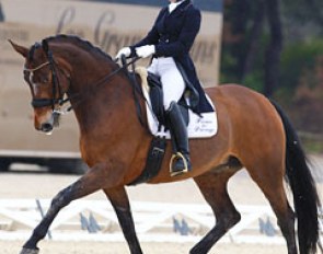 Stella Hagelstam and Soraya II at the 2013 CDI Vidauban :: Photo © Astrid Appels