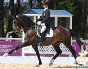 Mattias Jansson and Kalundi at the 2013 CDIO Vidauban :: Photo © Astrid Appels