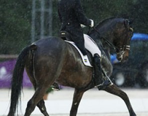Last rider to go today in the rain: Mattias Jansson on Tsarevitj (by Prince Thatch xx)