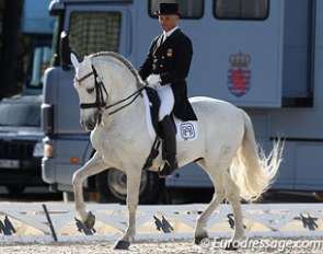 Kamai at the 2013 CDI Vidauban :: Photo © Astrid Appels