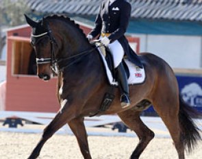 Sarah Millis and HP Frontier at the CDI Vidauban in March 2013