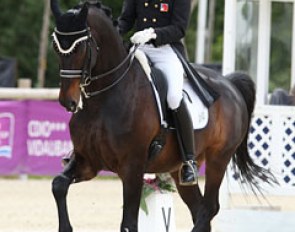 Gilles Ngovan on Solid Brown