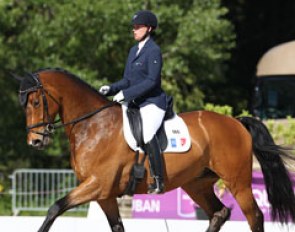 Bertille Pelardy and Hilario Saint (by Herzensdieb) at the 2013 CDI Vidauban :: Photo © Astrid Appels