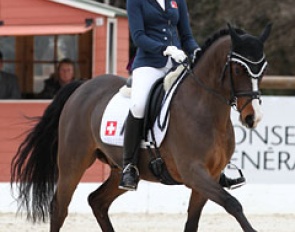 Swiss pony rider Carlotta Rogerson on Vincento Royal at the 2013 CDI Vidauban :: Photo © Astrid Appels