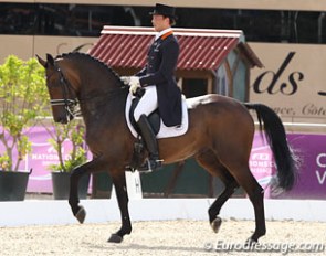 Laurens van Lieren and Wellnetta at the 2013 CDIO Vidauban :: Photo © Astrid Appels
