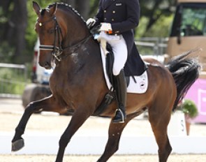 Laurens van Lieren and Hexagon's Wellnetta at the 2013 CDIO Vidauban :: Photo © Astrid Appels