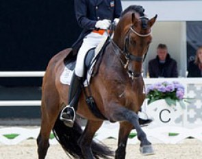 Hans Peter Minderhoud and Romanov at the 2013 CDI Villach :: Photo © Michael Rzepa