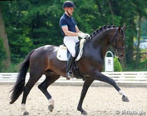 Matthias Bouten and Dante Delux MJ at the German selection trial for the 2013 World Young Horse Championships :: Photo © LL-foto