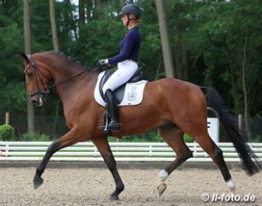 Laura Stigler and Doubleyou at the 2013 German WCYH Selection Trial in Warendorf :: Photo © LL-foto.de