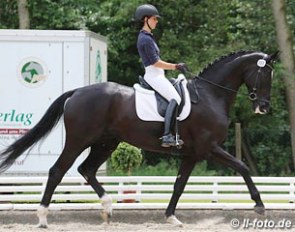 Johanna von Firkcs on Diabolo von Nymphenburg at the 2013 German WCYH Selection Trial in Warendorf :: Photo © LL-foto.de