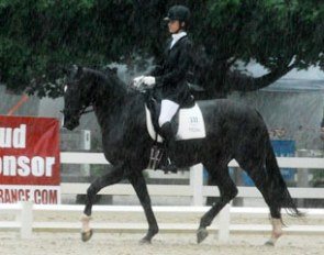 Brandi Benedict and Rebellienne HVH in the pouring rain at the 2013 U.S. Young Horse Championships in Wayne, ILL. 