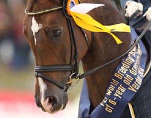 Sa Coeur (by Sir Donnerhall I x Don Davidoff)