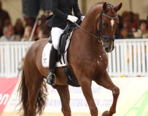 Norwegian Isabel Bache on De Nino (by Don Schufro x Sandro Hit)