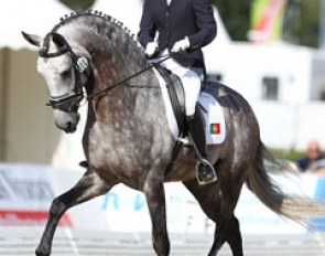 Portuguese Maria Caetano on the best moving Lusitano at the show, Coroado (by Rubi)
