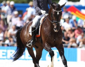 Jonas Elvebakk on one of the late Huub van Helvoirt's breeding products, Cubald (by Tuschinski x Jazz)