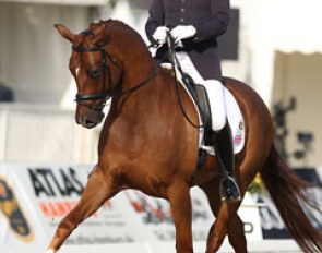 British Grand Prix rider Emile Faurie on the gorgeous British bred Hanoverian Duke Ellington (by Dimaggio x Classiker) who was just not strong enough behind today
