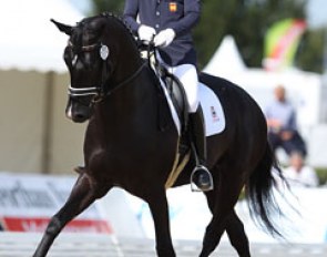 Juan Francisco Fernandez and Dhannie at the 2013 World Young Horse Championships in Verden :: Photo © Astrid Appels