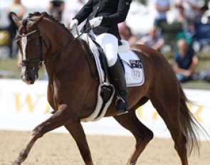 Danish based Australian Jessica Greelish on the Dutch bred Cavalia (by Sir Donnerhall x Gribaldi)