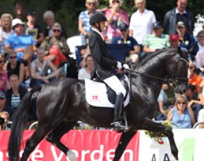 Andreas Helgstrand on Mollegardens Pas Partout (by Don Primero). A super talented black stallion presented in totally the wrong frame: too passagey, grinding teeth, too Grand Prix.. not recommended for a World Young Horse Championships