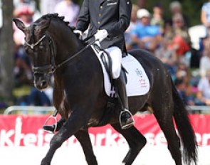 Andreas Helgstrand and Mollegardens Pas Partout at the 2013 World Young Horse Championships :: Photo © Astrid Appels