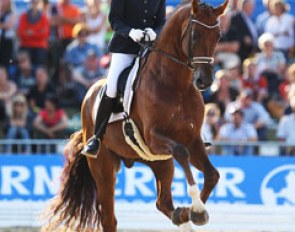 Jessica Michel and Don Juan de Hus at the 2013 World Young Horse Championships :: Photo © Astrid Appels