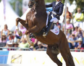 Emmelie Scholtens and Charmeur at the 2013 World Young Horse Championships :: Photo © Astrid Appels