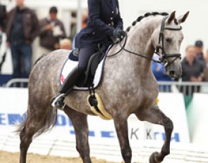 Ester Soldi on the show jumping bred Annarella di Villagana (by Calido x Ramiro)