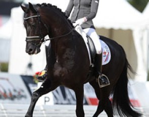 Marieke van der Putten and Che de Jeu at the 2013 World Young Horse Championships :: Photo © Astrid Appels