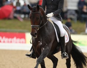 Diederik van Silfhout on Don Tango