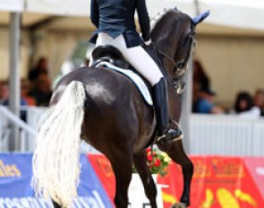 Swedish Martina Wikstrom on the promising Swedish bred Santiago (by Topaasch x Rubinrot). The gelding is a bit flat in the forehand, but was very obedient and working well from behind