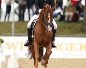Anja Wilimzig on Sir Heinrich