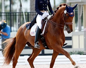 Heather Blitz and Paragon competing in Wellington :: Photo © Sue Stickle