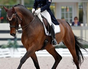 Christilot Boylen and Hudson at the 2013 CDI-W Wellington :: Photo © Sue Stickle