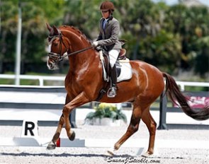 Christilot Boylen and Soccer City at the 2013 CDN Wellington :: Photo © Sue Stickle