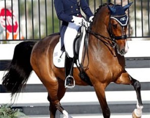 Susan Dutta and Currency DC at the 2013 CDI Wellington :: Photo © Sue Stickle