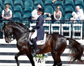 Tina Konyot and Calecto V at the 2013 CDI Wellington :: Photo © Sue Stickle