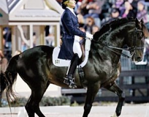 Tina Konyot and Calecto V at the 2013 CDI Wellington :: Photo © Sue Stickle
